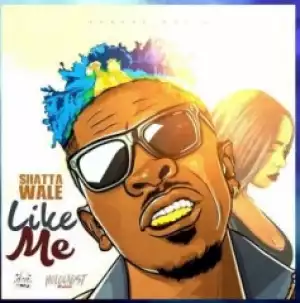 Shatta Wale - Man Like Me (Holocaust Riddim)